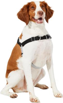Show full view: Frisco Basic No Pull Harness, Black/Gray, SM slide 4 of 8