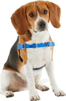 Show full view: Frisco Basic No Pull Harness, Navy/Blue, MD slide 4 of 8