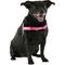 Show in main carousel: Frisco Basic No Pull Harness, Pink/Gray, XL slide 4 of 8