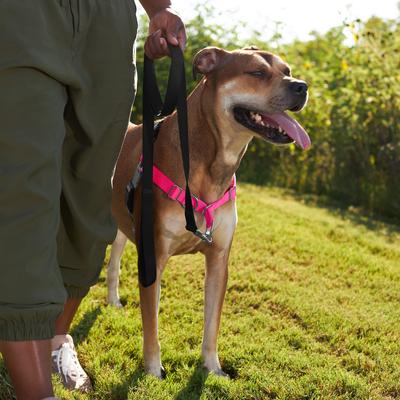 Show full view: Frisco Basic No Pull Harness, Pink/Gray, XL slide 5 of 8