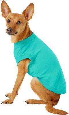 Show full view: Frisco Basic T-Shirt, Teal, Small + Dog & Cat Hoodie, Teal, Small slide 4 of 9