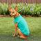 Show in main carousel: Frisco Basic T-Shirt, Teal, X-Large + Dog & Cat Hoodie, Teal, X-Large slide 7 of 9