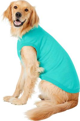 Show full view: Frisco Basic T-Shirt, Teal, XX-Large + Dog & Cat Hoodie, Teal, XX-Large slide 4 of 9
