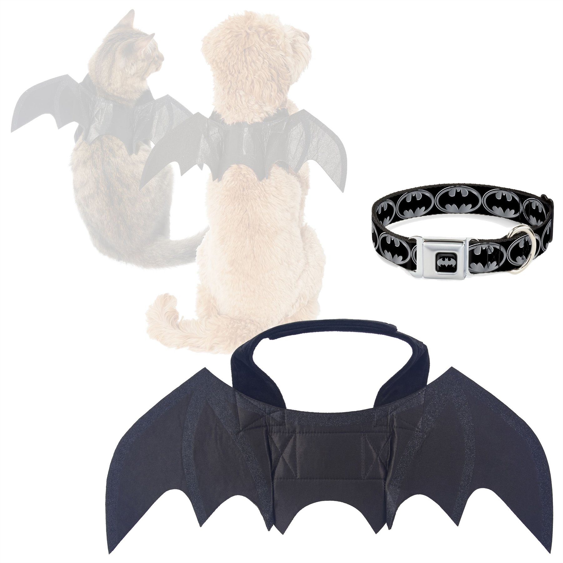 Frisco Bat Wings Dog & Cat Costume, X-Small/Small + Buckle-Down Batman Shield Dog Collar, Small: 9.5 to 13-in neck, 1-in wide