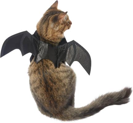 Show full view: Frisco Bat Wings Dog & Cat Costume, X-Small/Small + Buckle-Down Batman Shield Dog Collar, Small: 9.5 to 13-in neck, 1-in wide slide 3 of 9