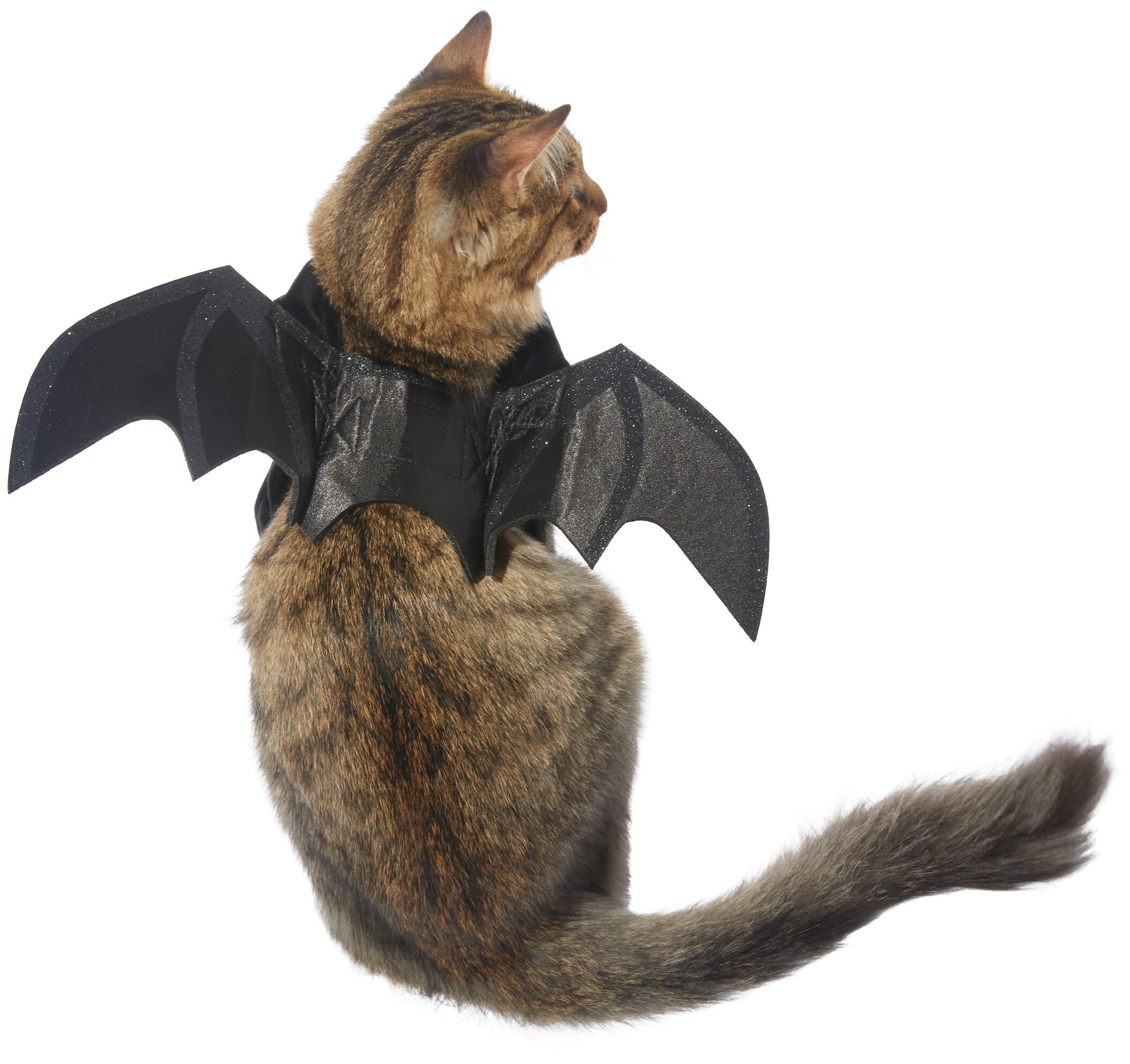 Frisco Reflective Bat Dog & Cat Costume