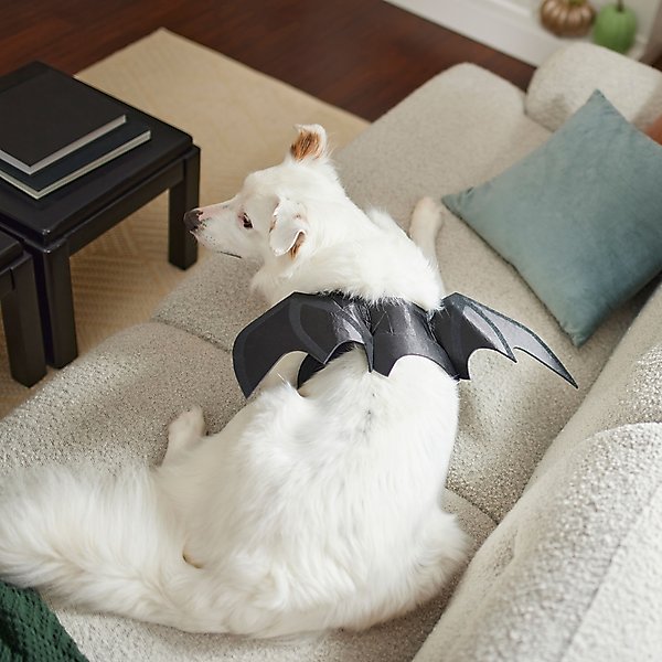 Frisco Bat Wings Dog & Cat Costume