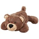 Frisco Bear Plush Squeaky Dog Toy, Small/Medium