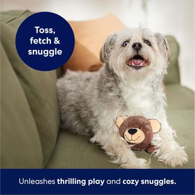 Show full view: Frisco Bear Plush Squeaky Dog Toy, Small/Medium slide 5 of 7