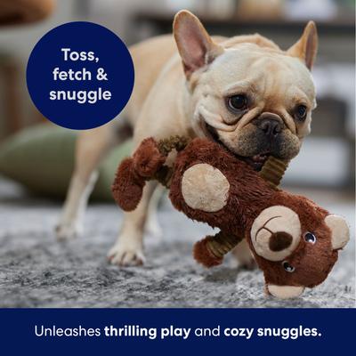 Show full view: Frisco Bear Plush Squeaky Dog Toy, Small/Medium slide 6 of 8