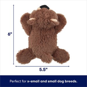 Frisco Bear Plush Squeaky Dog Toy, X-Small/Small