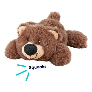 Frisco Bear Plush Squeaky Dog Toy, X-Small/Small