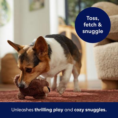 Show full view: Frisco Bear Plush Squeaky Dog Toy, X-Small/Small slide 5 of 7