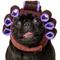 Show in main carousel: Frisco Beauty Parlor Spa Hair Curler Dog & Cat Costume Accessory, Medium/Large slide 1 of 9