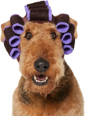 Frisco Beauty Parlor Dog & Cat Costume Accessory