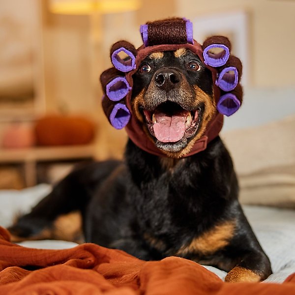 Show full view: Frisco Beauty Parlor Spa Hair Curler Dog & Cat Costume Accessory, X-Large/XX-Large slide 6 of 9