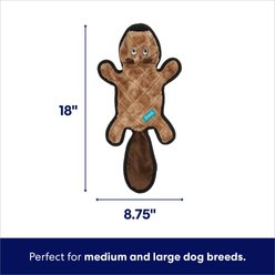 Frisco Beaver Stuffing-Free Flat Plush Squeaky Dog Toy, Medium/Large slide 2 of 6