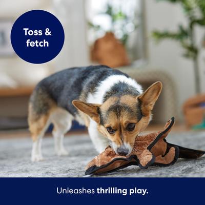 Show full view: Frisco Beaver Stuffing-Free Flat Plush Squeaky Dog Toy, Medium/Large slide 6 of 8