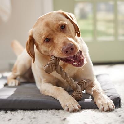 Show full view: Frisco Beef Flavored Twist Bone Nylon Chew Dog Toy for Heavy Chewers, Large slide 5 of 10
