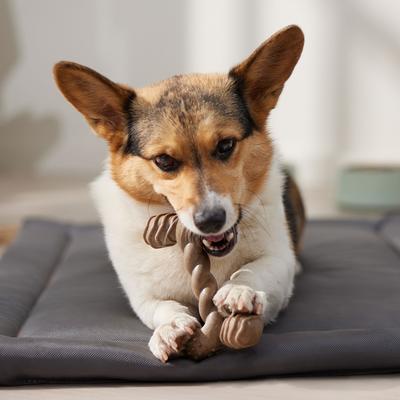 Show full view: Frisco Beef Flavored Twist Bone Nylon Chew Dog Toy for Heavy Chewers, Medium slide 5 of 10