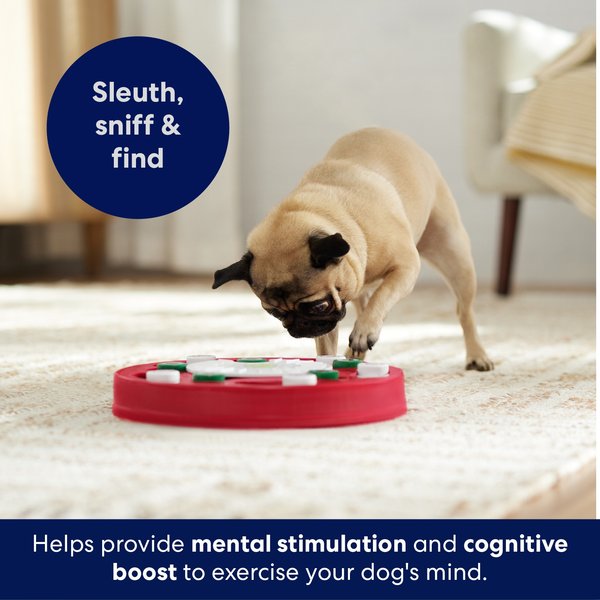 Frisco Bento Interactive Puzzle Dog Toy, Level 3