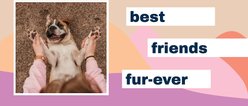 Frisco "Best Friends Fur-Ever" White Personalized Coffee Mug, 11-oz slide 2 of 5