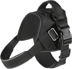 Frisco Big Dog Harness, M - Girth: 21 - 25-in