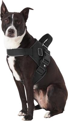 Show full view: Frisco Big Dog Harness, M - Girth: 21 - 25-in slide 5 of 8
