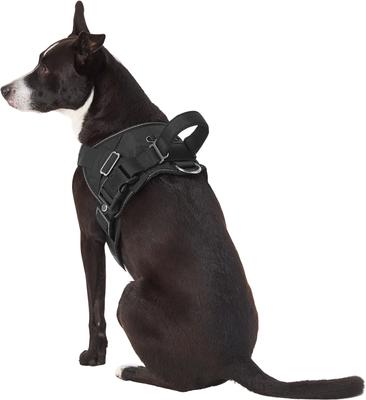Show full view: Frisco Big Dog Harness, M - Girth: 21 - 25-in slide 6 of 8