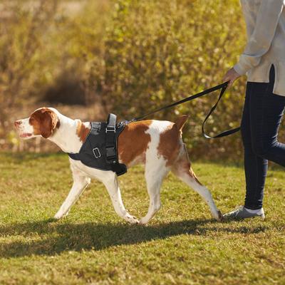 Show full view: Frisco Big Dog Harness, M - Girth: 21 - 25-in slide 7 of 8