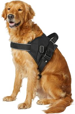 Show full view: Frisco Big Dog Harness, XL - Girth: 28 - 38-in slide 5 of 8