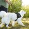 Show in main carousel: Frisco Big Dog Harness, XL - Girth: 28 - 38-in slide 7 of 8