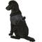 Show in main carousel: Frisco Big Dog Harness, XXL - Girth: 30 - 42-in slide 6 of 8