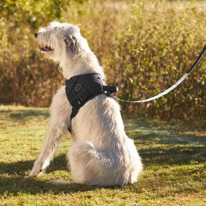 Frisco Big Dog Harness, XXL - Girth: 30 - 42-in