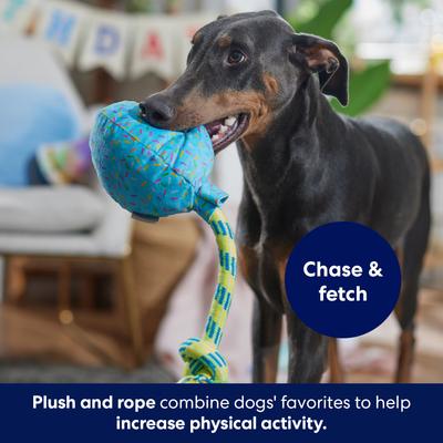 Show full view: Frisco Birthday Balloon Plush with Rope Squeaky Dog Toy, Blue, Medium/Large slide 4 of 6