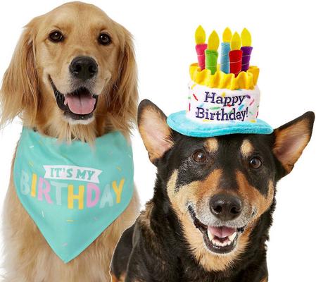 Show full view: Frisco Birthday B&ana, X-Small/Small + Dog & Cat Hat, X-Small/Small slide 3 of 10