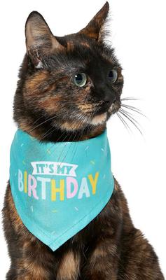 Show full view: Frisco Birthday B&ana, X-Small/Small + Dog & Cat Hat, X-Small/Small slide 4 of 10