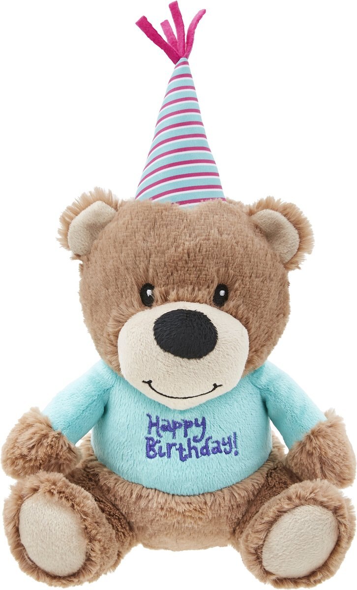 Frisco Birthday Bear Plush Squeaky Dog Toy