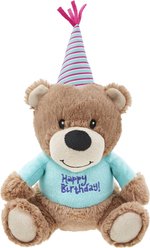 Frisco Birthday Bear Plush Squeaky Dog Toy, Medium