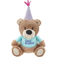 Frisco Birthday Bear Plush Squeaky Dog Toy, Medium
