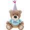 Show in main carousel: Frisco Birthday Bear Plush Squeaky Dog Toy, Medium slide 1 of 7