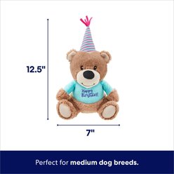 Frisco Birthday Bear Plush Squeaky Dog Toy, Medium slide 2 of 5