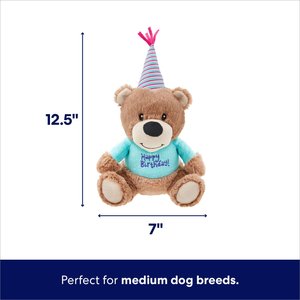 Frisco Birthday Bear Plush Squeaky Dog Toy, Medium