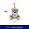 Show in main carousel: Frisco Birthday Bear Plush Squeaky Dog Toy, Medium slide 3 of 7