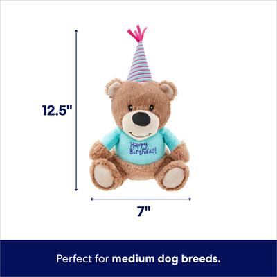 Show full view: Frisco Birthday Bear Plush Squeaky Dog Toy, Medium slide 3 of 7
