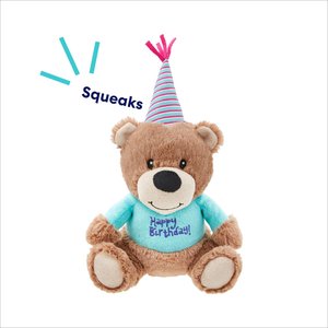 Frisco Birthday Bear Plush Squeaky Dog Toy, Medium