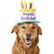 Show in main carousel: Frisco Birthday Cake Dog & Cat Hat, Medium/Large slide 1 of 9
