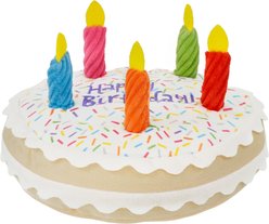 Frisco Birthday Cake Plush Squeaky Dog Toy, Large