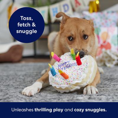 Show full view: Frisco Birthday Cake Plush Squeaky Dog Toy, Large slide 4 of 6