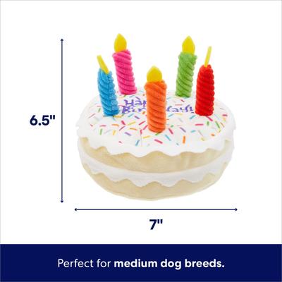 Show full view: Frisco Birthday Cake Plush Squeaky Dog Toy, Medium slide 3 of 7